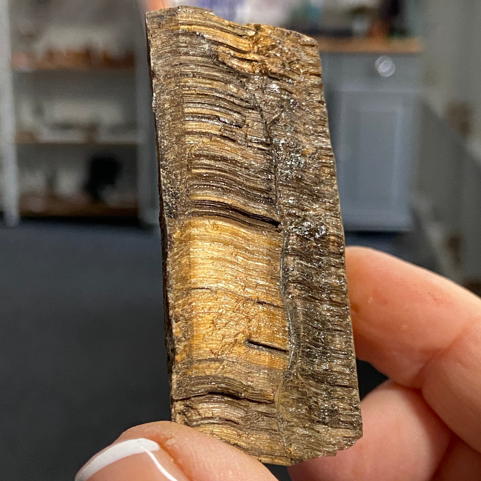 Tiger’s Eye – South Africa - Castle Rocks Cornwall