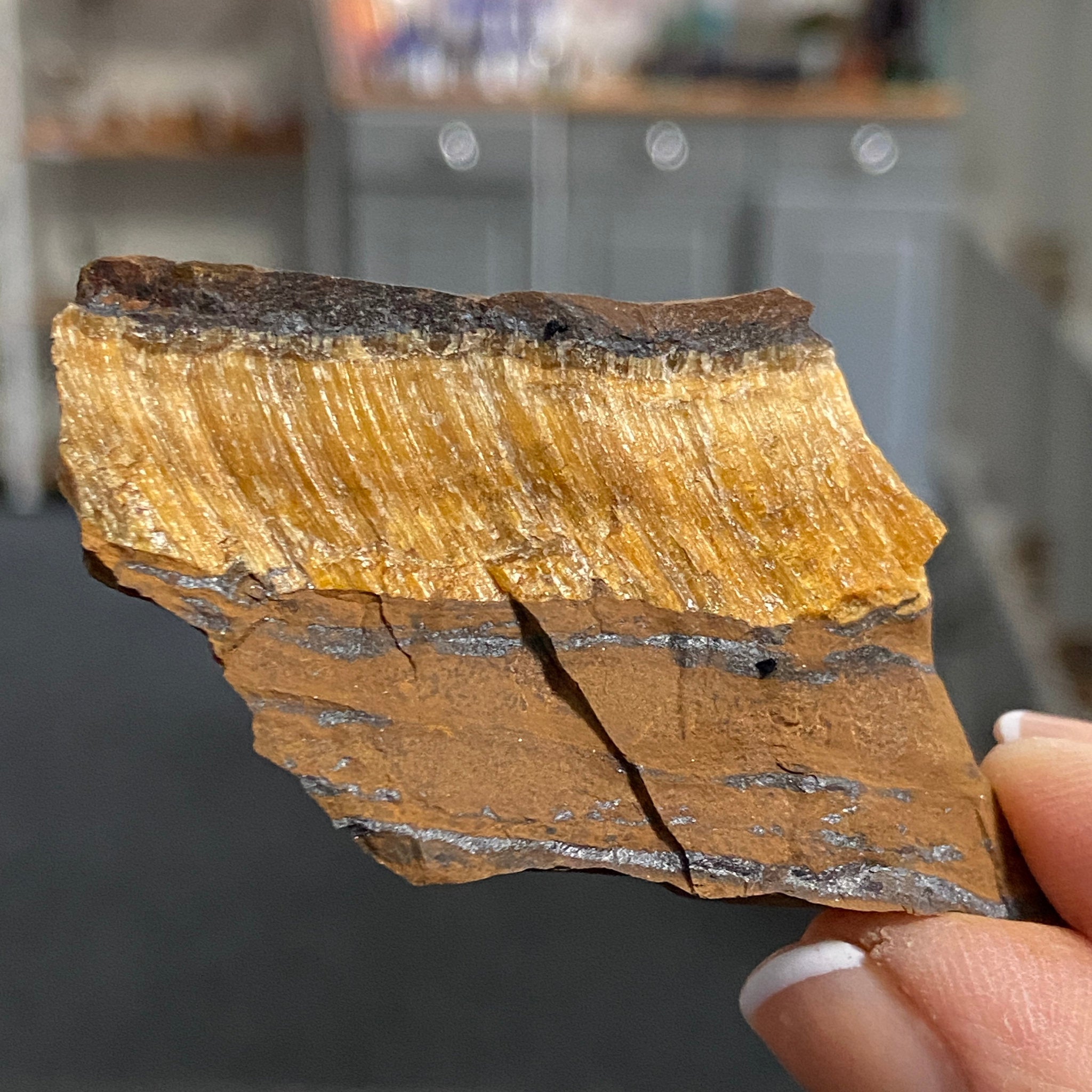 Tiger’s Eye – South Africa - Castle Rocks Cornwall