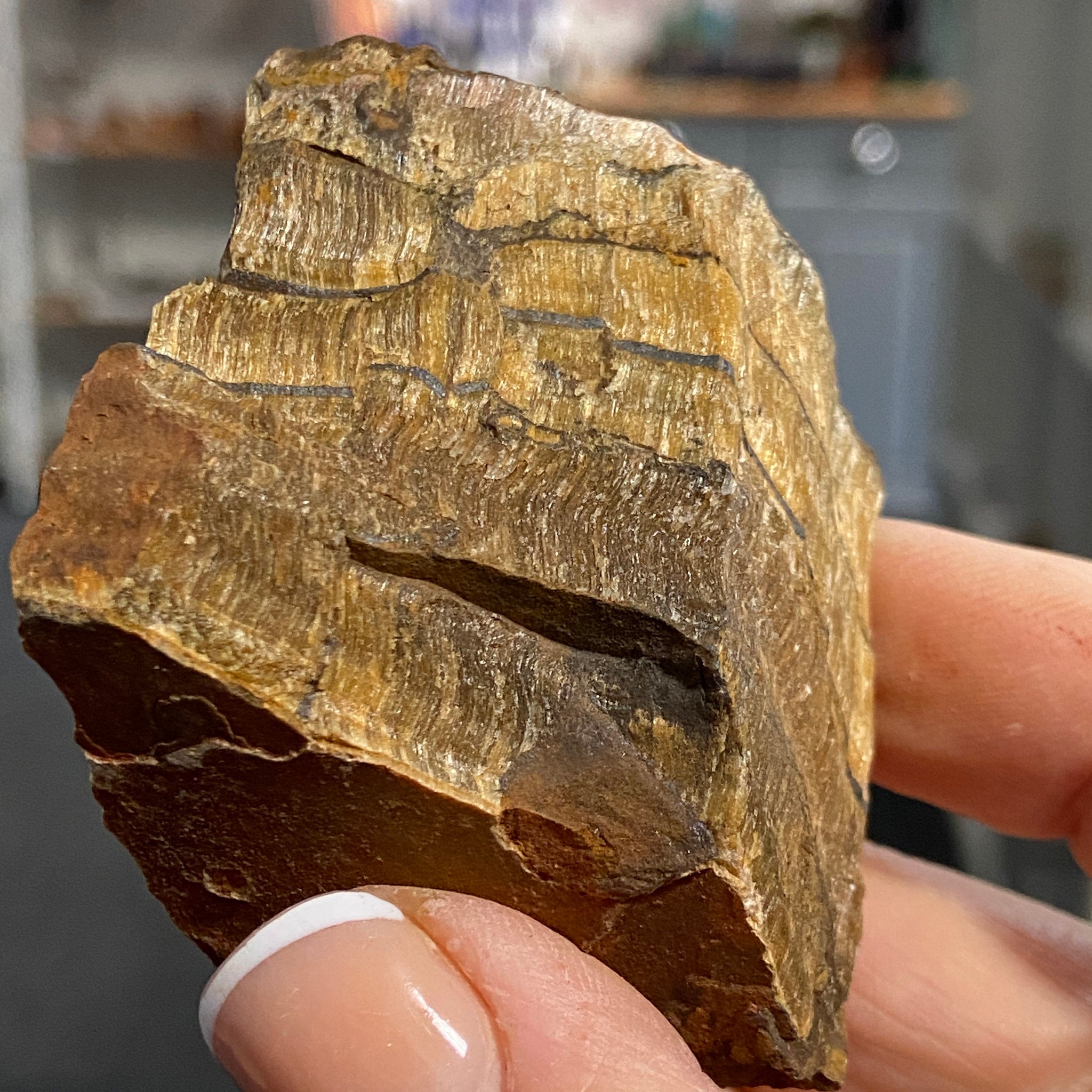 Tiger’s Eye – South Africa - Castle Rocks Cornwall