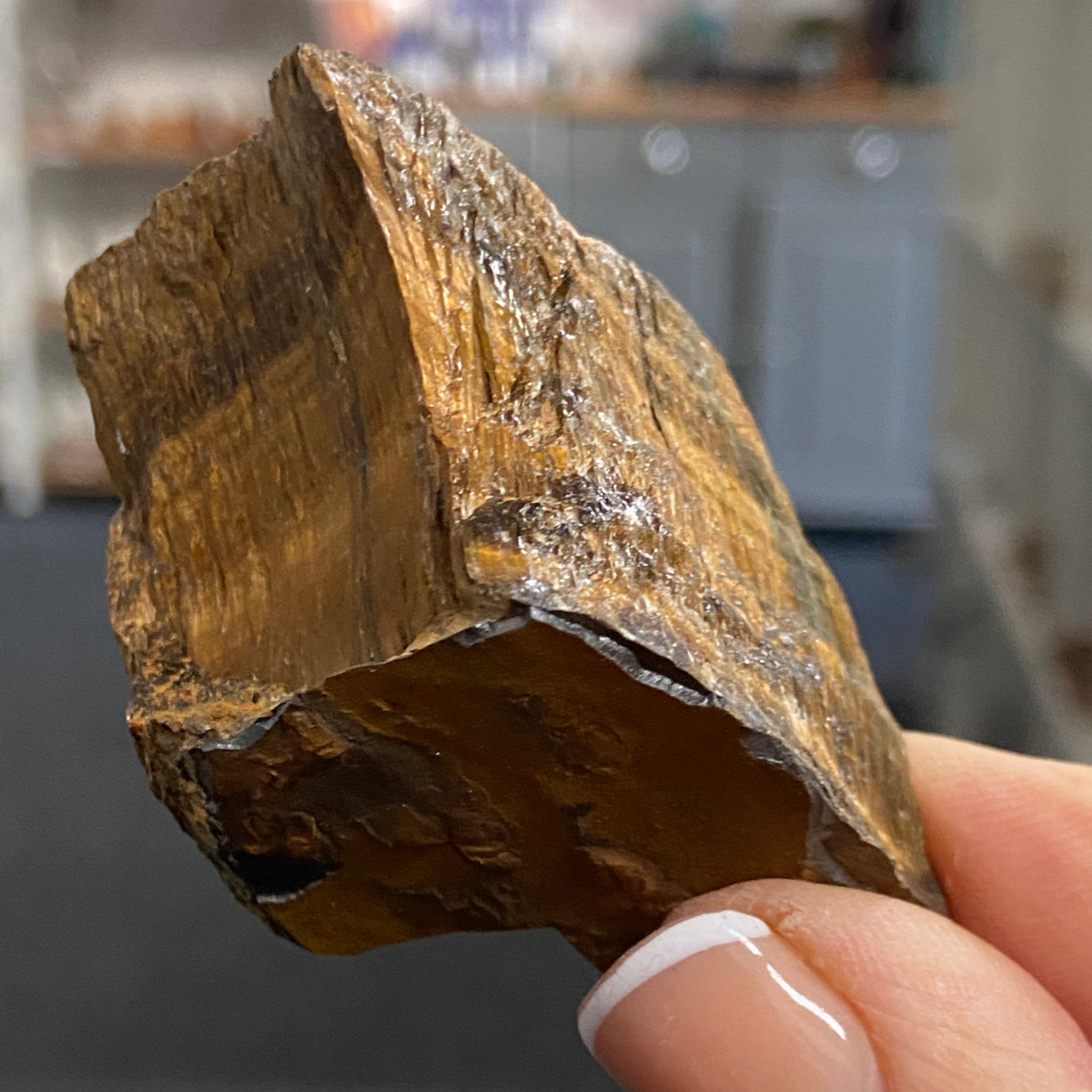 Tiger’s Eye – South Africa - Castle Rocks Cornwall