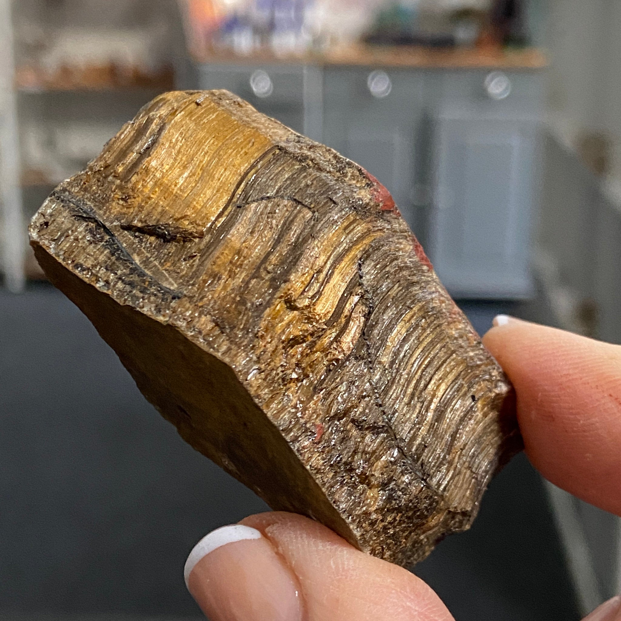 Tiger’s Eye – South Africa - Castle Rocks Cornwall