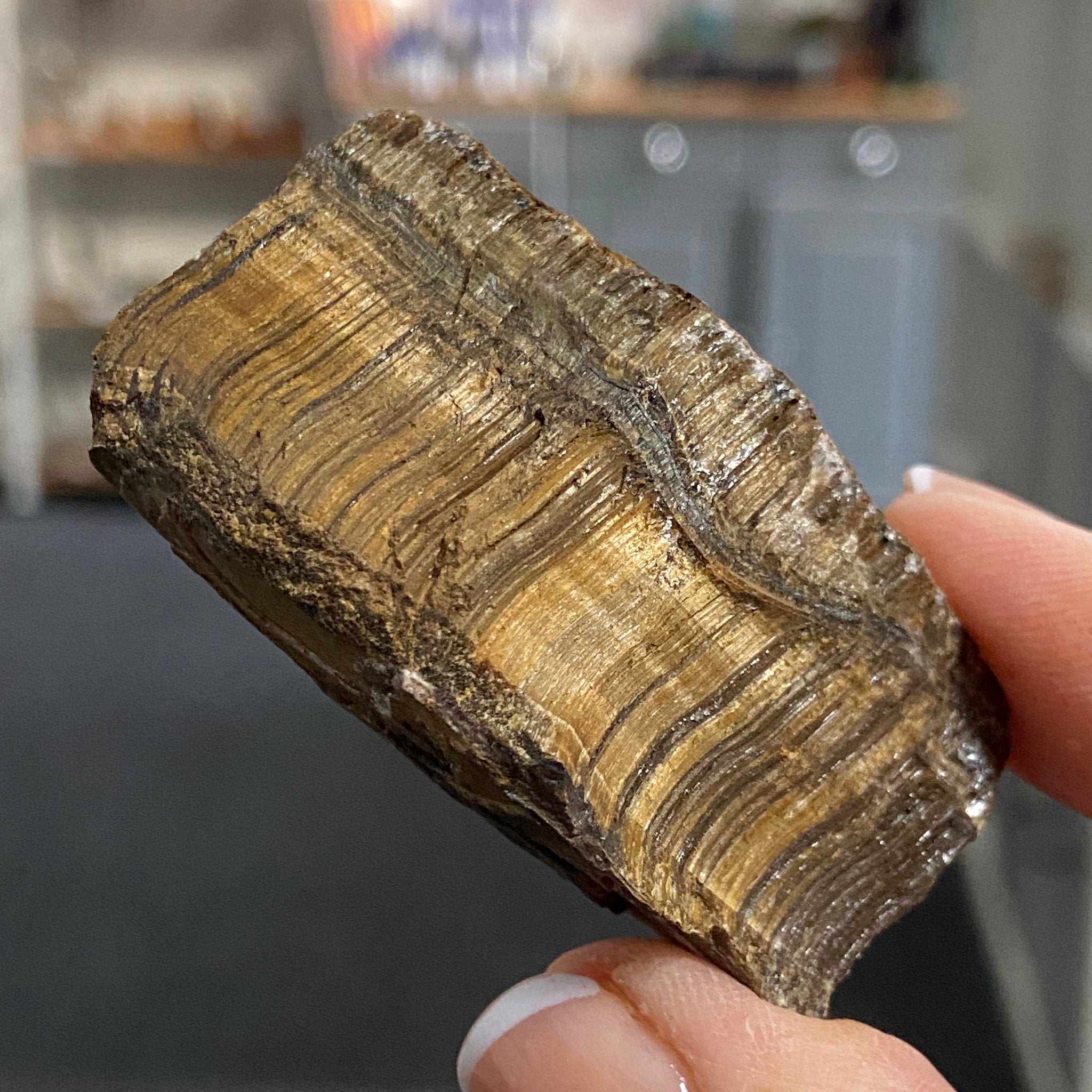 Tiger’s Eye – South Africa - Castle Rocks Cornwall