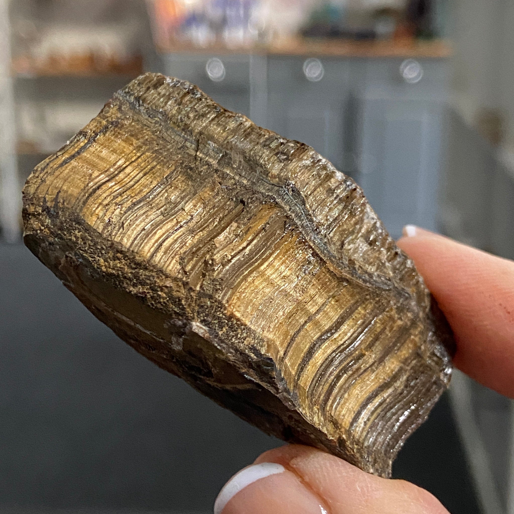 Tiger’s Eye – South Africa - Castle Rocks Cornwall